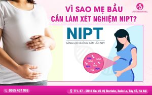 Vì Sao Mẹ Bầu Cần Làm Xét Nghiệm NIPT