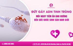Đứt Gãy ADN Tinh Trùng: Mối Nguy Tiềm Ẩn Ảnh Hưởng Đến Sức Khỏe Sinh Sản Nam Giới